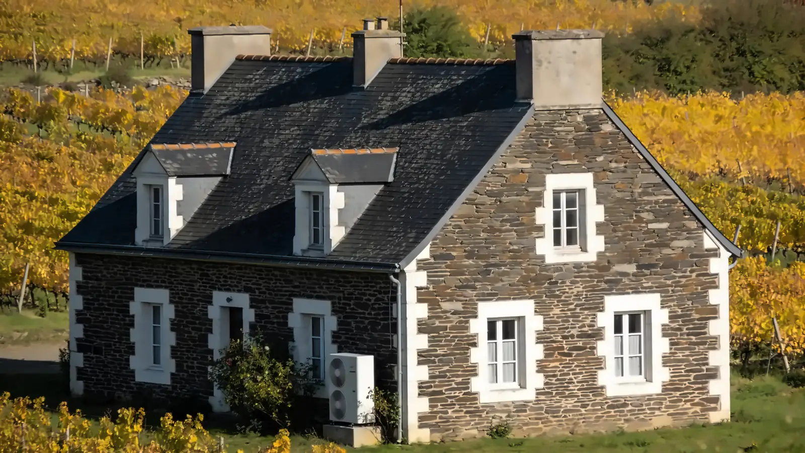 Maison angevine en schiste sombre aux encadrements de tuffeau blanc et toit d'ardoise à lucarnes, vignes jaunies en automne, une pompe à chaleur contre la façade